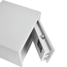 Load image into Gallery viewer, Burg Wachter Standard Fire and Burglary Protection Dual-Safe DS 425 E FP, Biometric Opening (Fingerprint or Electronic Code)